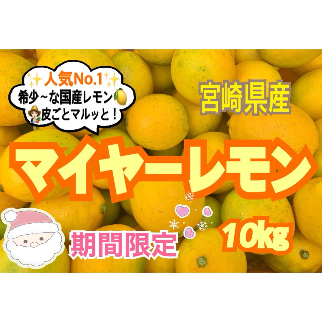 【期間限定❣️限定10箱】マイヤーレモン10㎏/レモン　国産レモン　みかん　柑橘 食品/飲料/酒の食品(フルーツ)の商品写真