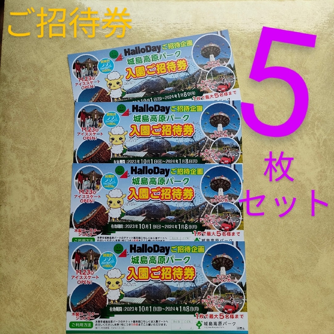 城島高原パーク入園ご招待券　チケット　大分県　テーマパーク　遊園地アトラクション チケットの施設利用券(遊園地/テーマパーク)の商品写真