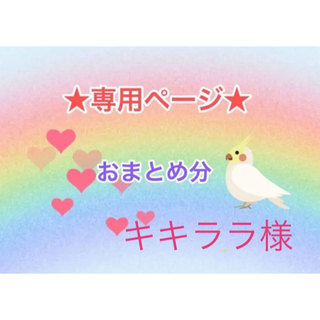 インコおもちゃ★おまとめ分 No.6,13(鳥)