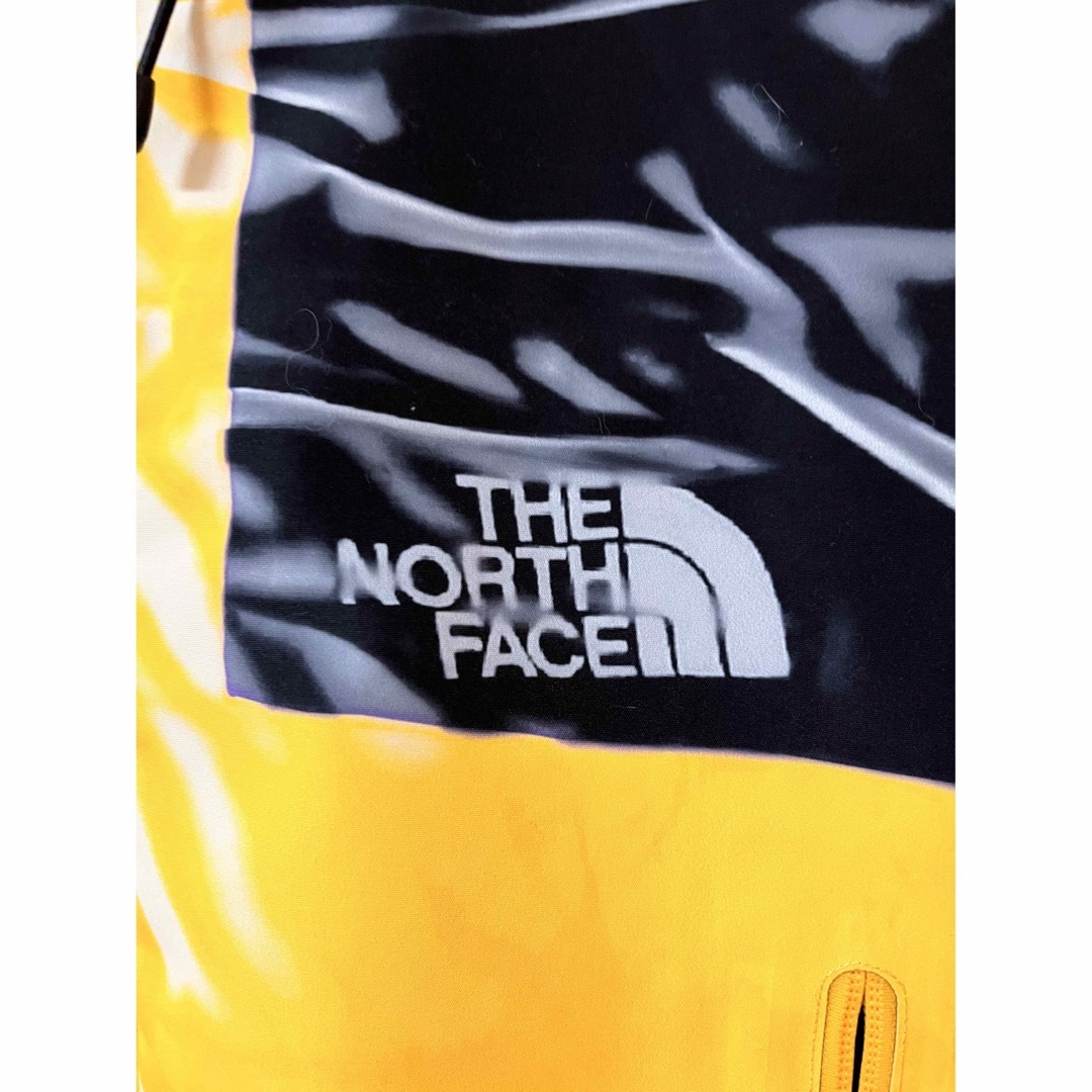 Supreme(シュプリーム)のSUPREME THE NORTH FACE mountain jacket メンズのジャケット/アウター(マウンテンパーカー)の商品写真
