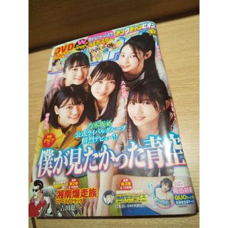 ヤングチャンピオン 2023年 8/22号（DVD未開封）(アート/エンタメ/ホビー)