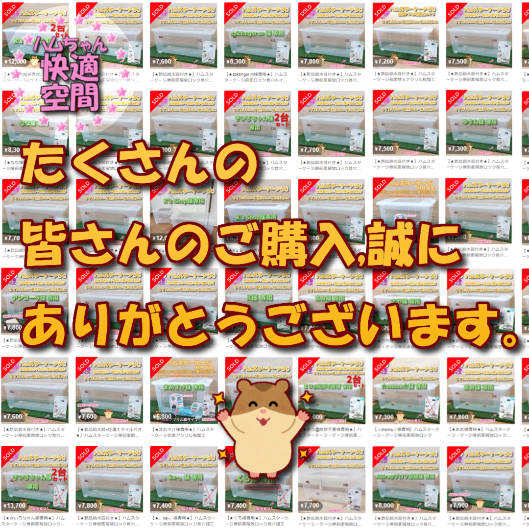 ☆大サイズ☆】新品 ハムスターケージ ゲージ ハウス 扉 前面 ☆大サイズ☆】新品 ハムスターケージ ゲージ ハウス 扉 前面