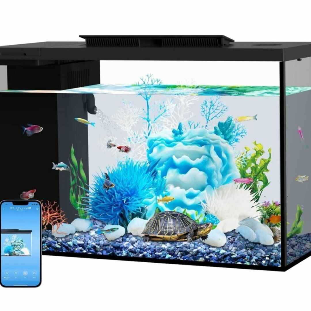ガラス アクアリウム ベタ水槽セット 熱帯魚・メダカ飼育セット ガラス アクアリウム ベタ水槽セット 熱帯魚・メダカ飼育セット