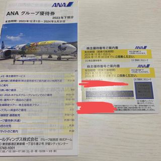 ANA 株主優待(航空券)