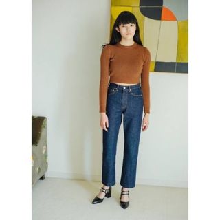 デミルクスビームス(Demi-Luxe BEAMS)のSERGE dodo bleu / DODO WASH INDIGO デニム(デニム/ジーンズ)