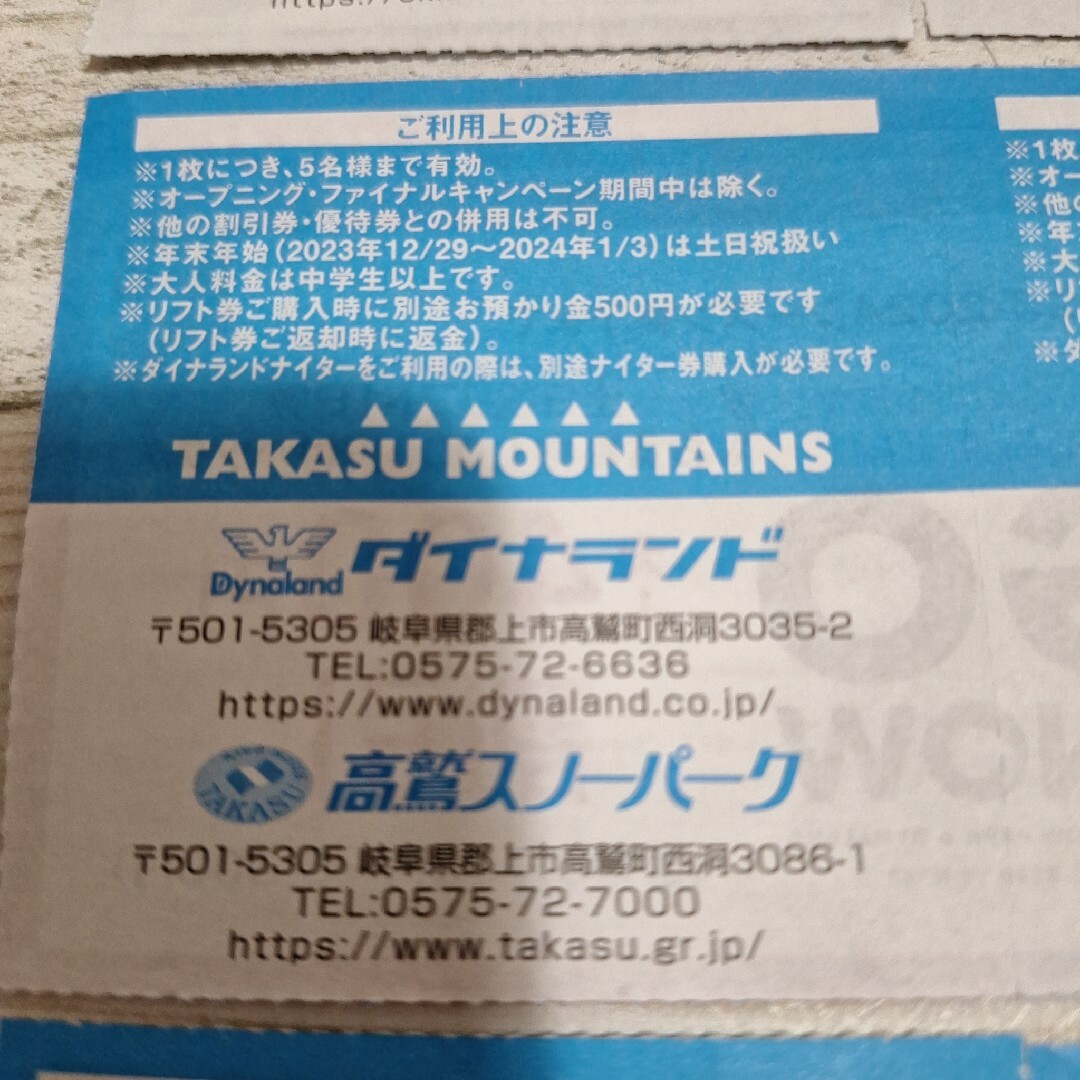 他店圧倒価格♪最安値に挑戦！ ダイナランド ナイター券(高鷲ダイナ