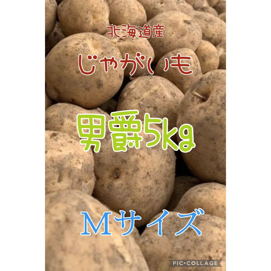北海道産じゃがいも男爵3kg 食品/飲料/酒の食品(野菜)の商品写真