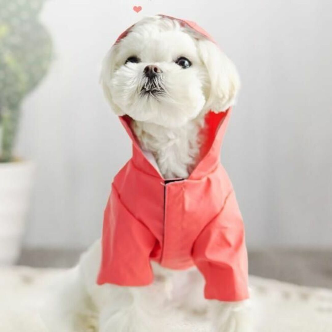 犬 レインコート 雨 小型犬 カッパ ポンチョ 雨具 防水 イエロー Mサイズ その他のペット用品(犬)の商品写真