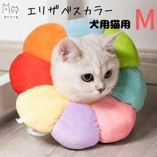 小型犬 猫 エリザベスカラー 介護 手術 ドーナツ 花  ペット用品(犬)