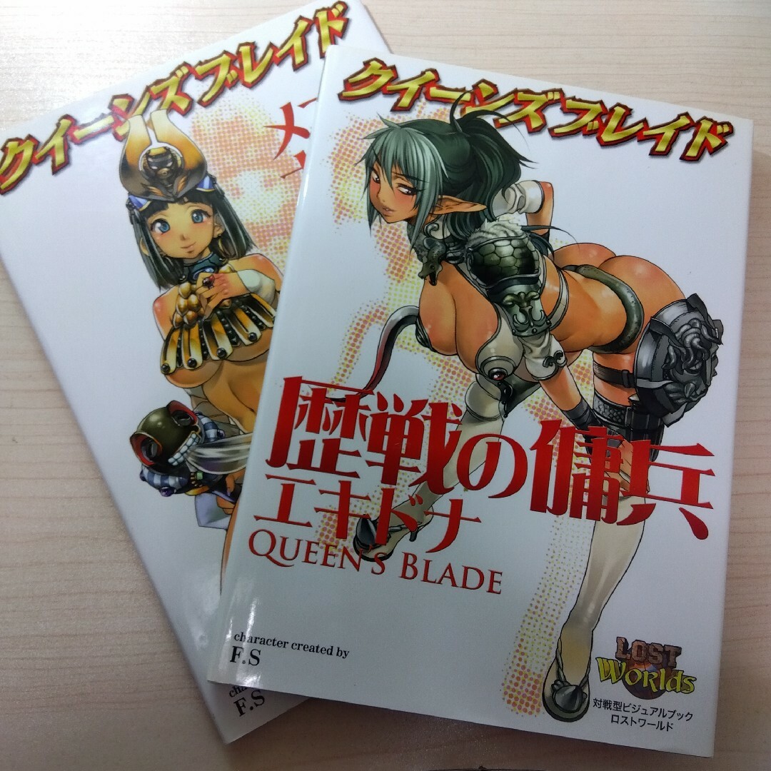 クイーンズブレイド歴戦の傭兵エキドナ　古代の王女メナス　セット エンタメ/ホビーの本(趣味/スポーツ/実用)の商品写真