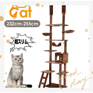 新品　キャットタワー　突っ張り　猫用品　ペット用品(猫)