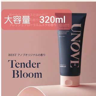 アモーレパシフィック(AMOREPACIFIC)の二本セット　アノブ　ディープダメージトリートメント　トリートメント　ヘアケア(トリートメント)