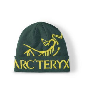 アークテリクス(ARC'TERYX)のarc'teryx  アークテリクス　ビーニー　ニットキャップ(ニット帽/ビーニー)