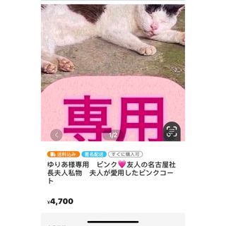 ゆりあ様専用　ピンク🩷友人の名古屋社長夫人私物　夫人が愛用したピンクコート(その他)