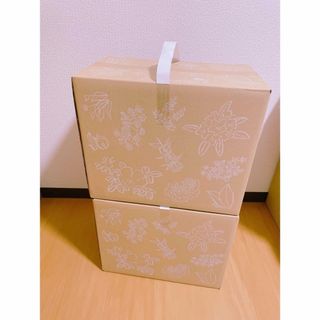 六花亭　限定　ポテトチップス　お菓子　ポテチ　2箱セット(菓子/デザート)