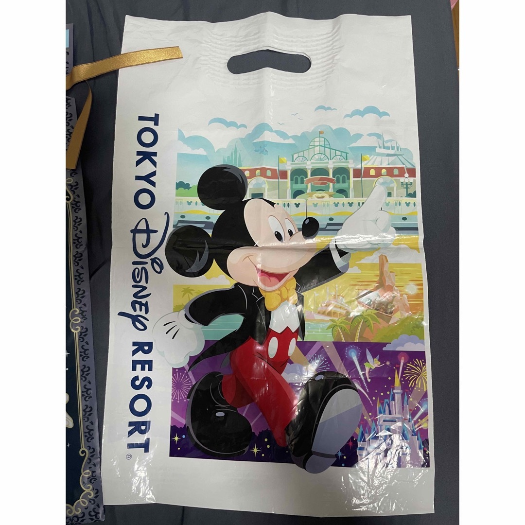 Disney(ディズニー)のディズニー お土産袋 レディースのバッグ(ショップ袋)の商品写真