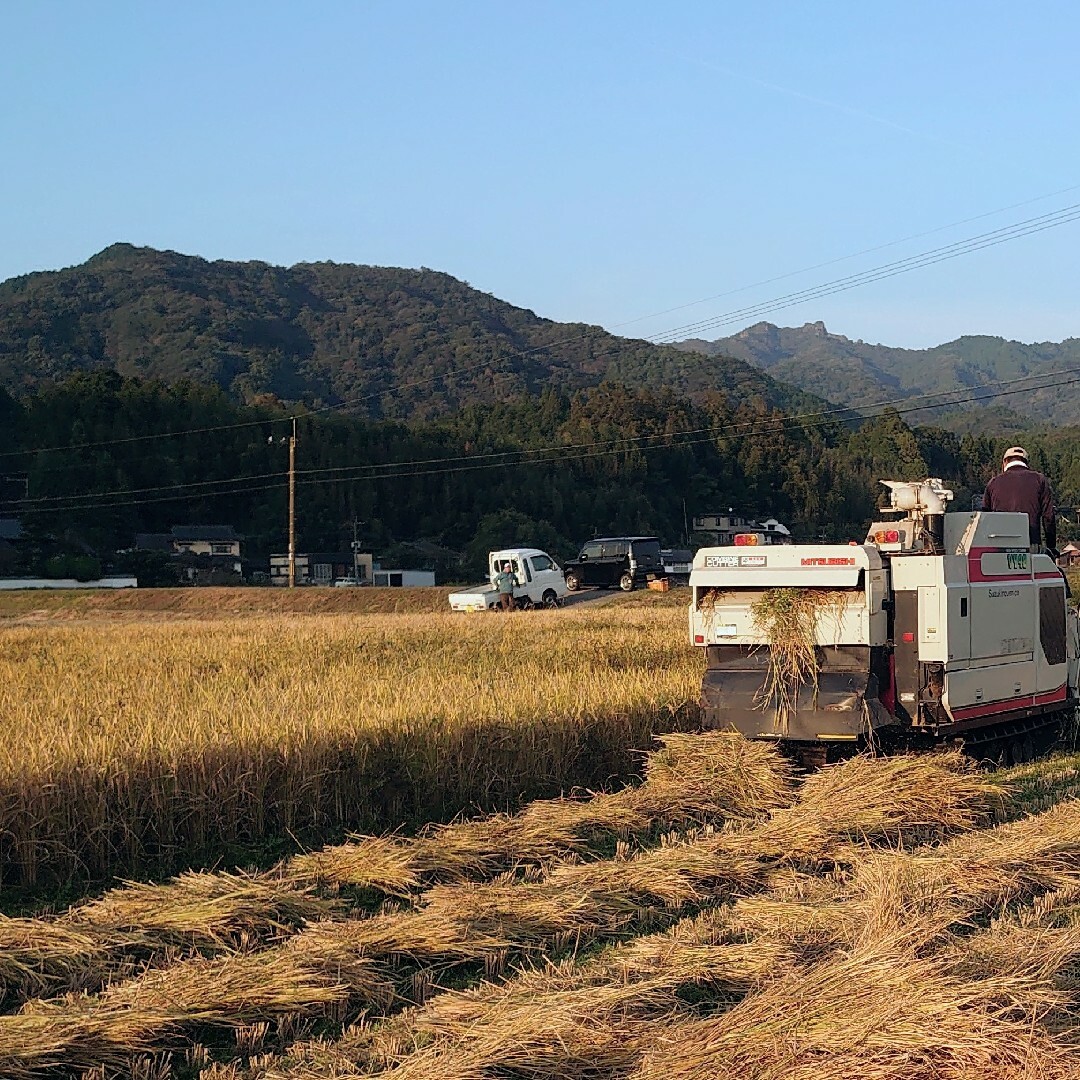 年内お値引き❗ 新米 10kg 令和5年度 大分県産 ひのひかり 山香米 食品/飲料/酒の食品(米/穀物)の商品写真