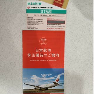 JAL 日本航空割引券(その他)