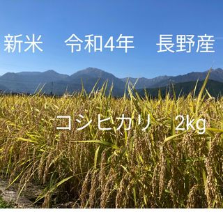 令和4年長野産コシヒカリ　ゆうパケットポスト箱込みで2kg(米/穀物)