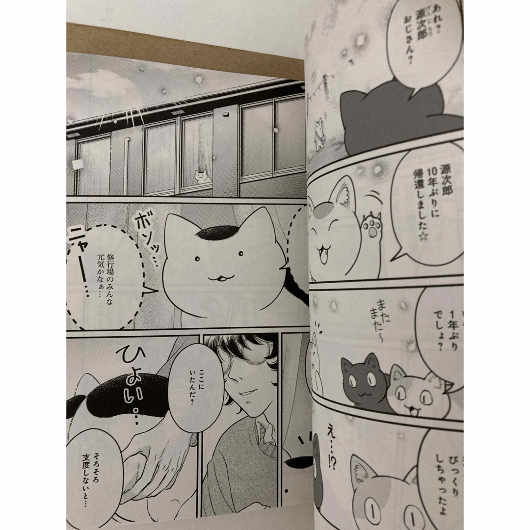 秋田書店(アキタショテン)の⭐️まねきねこのうた　秋田書店　Jam 猫又　3兄弟　毒舌コメディ エンタメ/ホビーの漫画(女性漫画)の商品写真