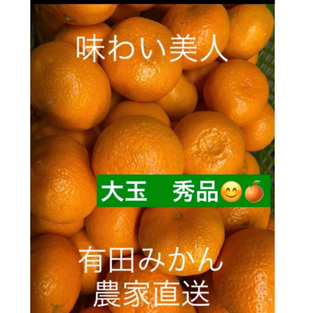 有田みかん農家直送　味わい美人大玉秀品箱込み１０キロ 食品/飲料/酒の食品(フルーツ)の商品写真