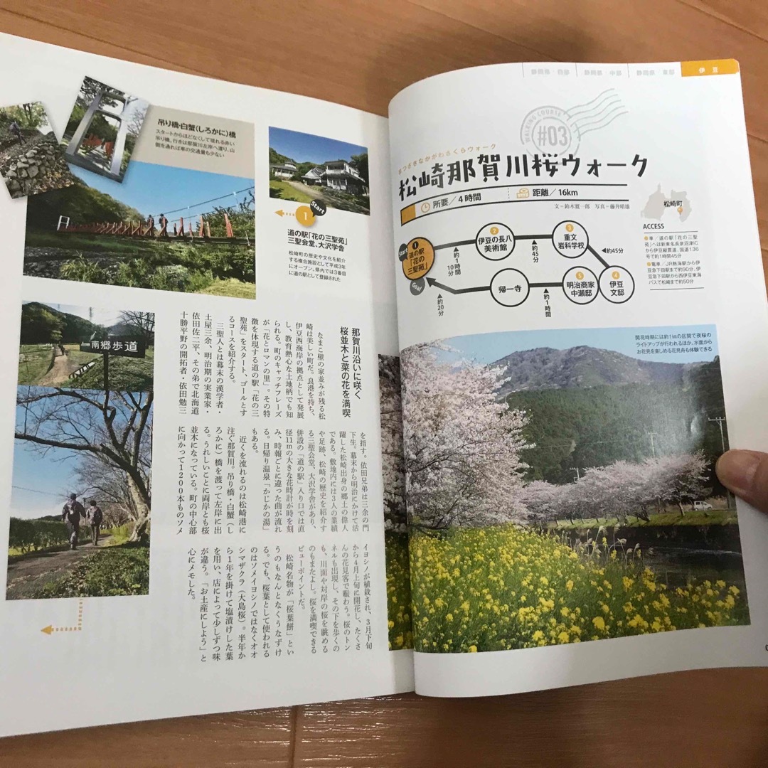 静岡県歩きたくなる道２５選 エンタメ/ホビーの本(地図/旅行ガイド)の商品写真