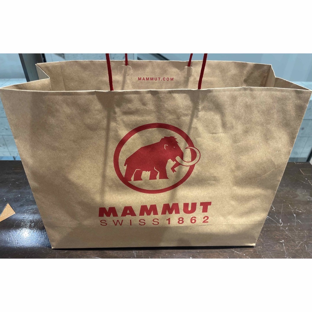 Mammut(マムート)のMAMMUT Barryvox ML Crew Neck with FRGMT メンズのトップス(スウェット)の商品写真