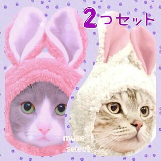ピンク白うさ耳ニット帽子♥クリスマスコスプレ♥犬猫用 ねこのかぶりもの♥お得2こ(猫)