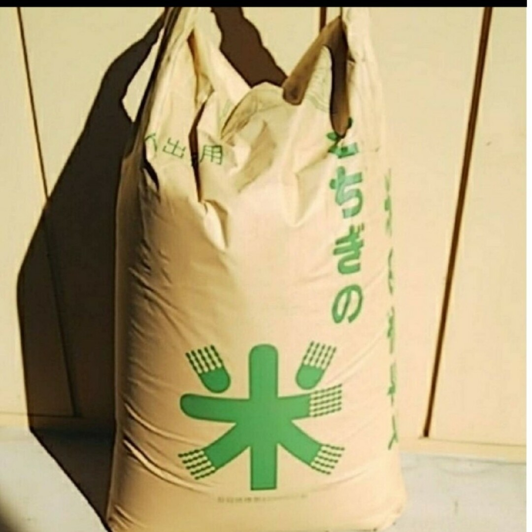 人気🍙店への出荷米 コシヒカリ 玄米30kg 栃木 食品/飲料/酒の食品(米/穀物)の商品写真