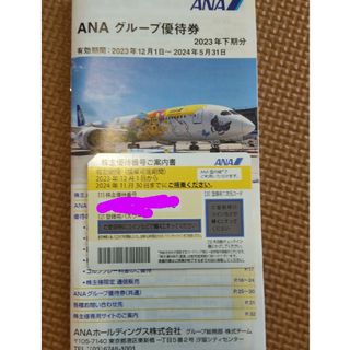 ANA全日空　株主優待(航空券)