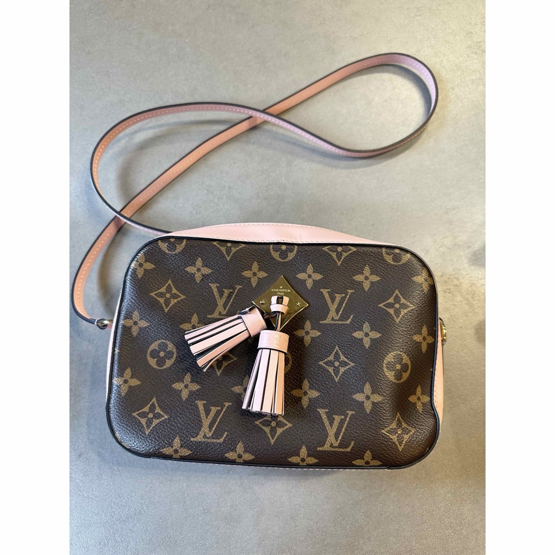 LOUIS VUITTON - ルイヴィトンサントンジュローズプードルの通販 by ...