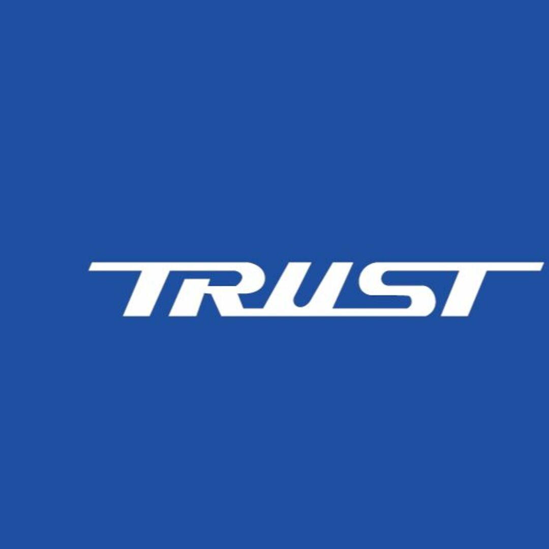 トラス TRUST カッティングシール ステッカー 自動車/バイクの自動車(その他)の商品写真