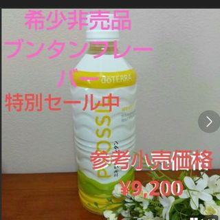 希少非売品　ブンタンドテラミネラル550ml(その他)