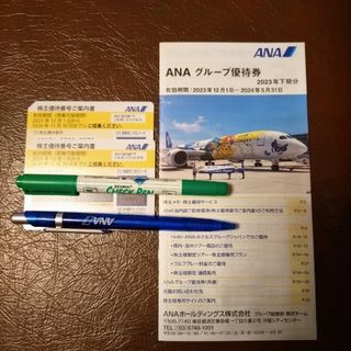 エーエヌエー(ゼンニッポンクウユ)(ANA(全日本空輸))のANA株主優待券　2枚(ショッピング)