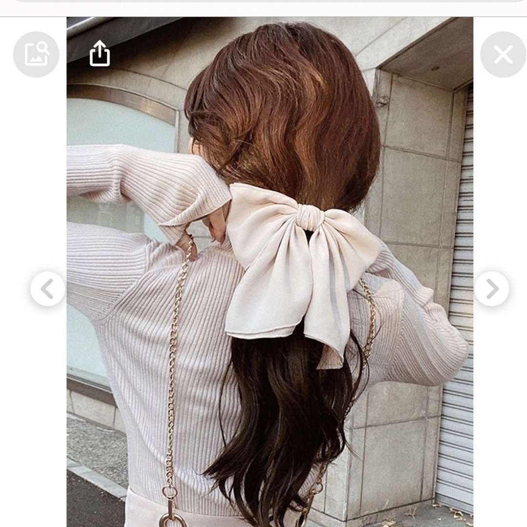 eimy istoire(エイミーイストワール)のeimyistoire レディースのヘアアクセサリー(バレッタ/ヘアクリップ)の商品写真