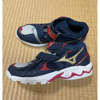 ミズノ(MIZUNO)のミズノバレーボールシューズ　24㎝(バレーボール)