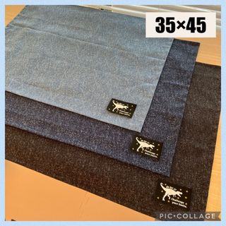 ランチョンマット35×45 デニム調　3枚セット　恐竜タグ(外出用品)