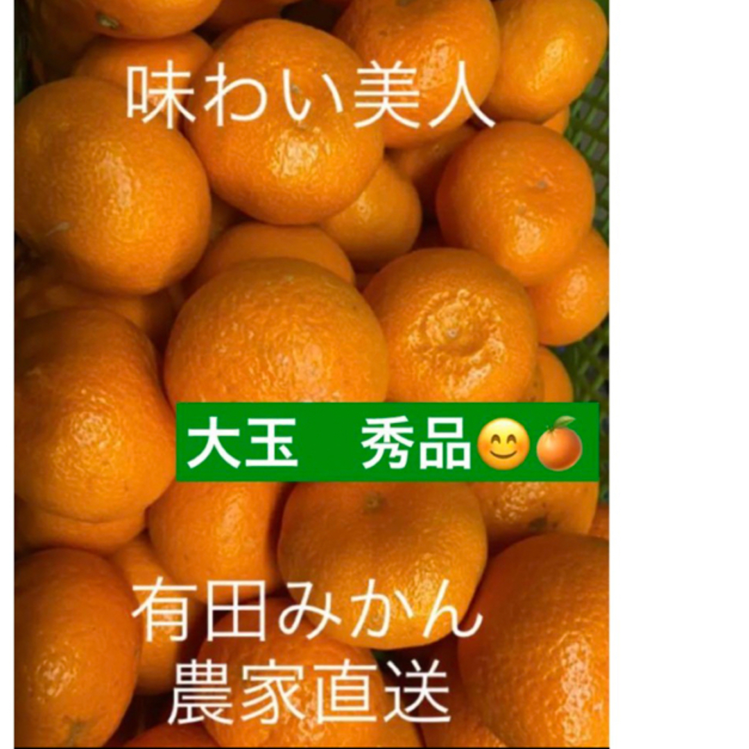 有田みかん農家直送　味わい美人大玉秀品箱込み１０キロ 食品/飲料/酒の食品(フルーツ)の商品写真