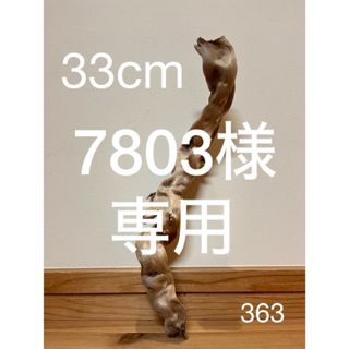 流木【363.335】(置物)