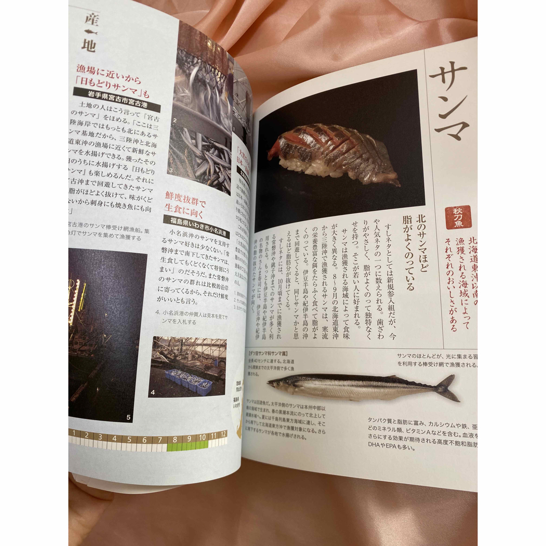 本　寿司ネタの通になる　食べ物　グルメ　料理　魚 エンタメ/ホビーの本(料理/グルメ)の商品写真