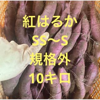 千葉県産　サツマイモ　紅はるか　SS〜S込10キロ(野菜)