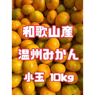 ⭐︎和歌山産⭐︎ 温州みかん 小玉 10kg 訳あり　みかん　柑橘類(フルーツ)