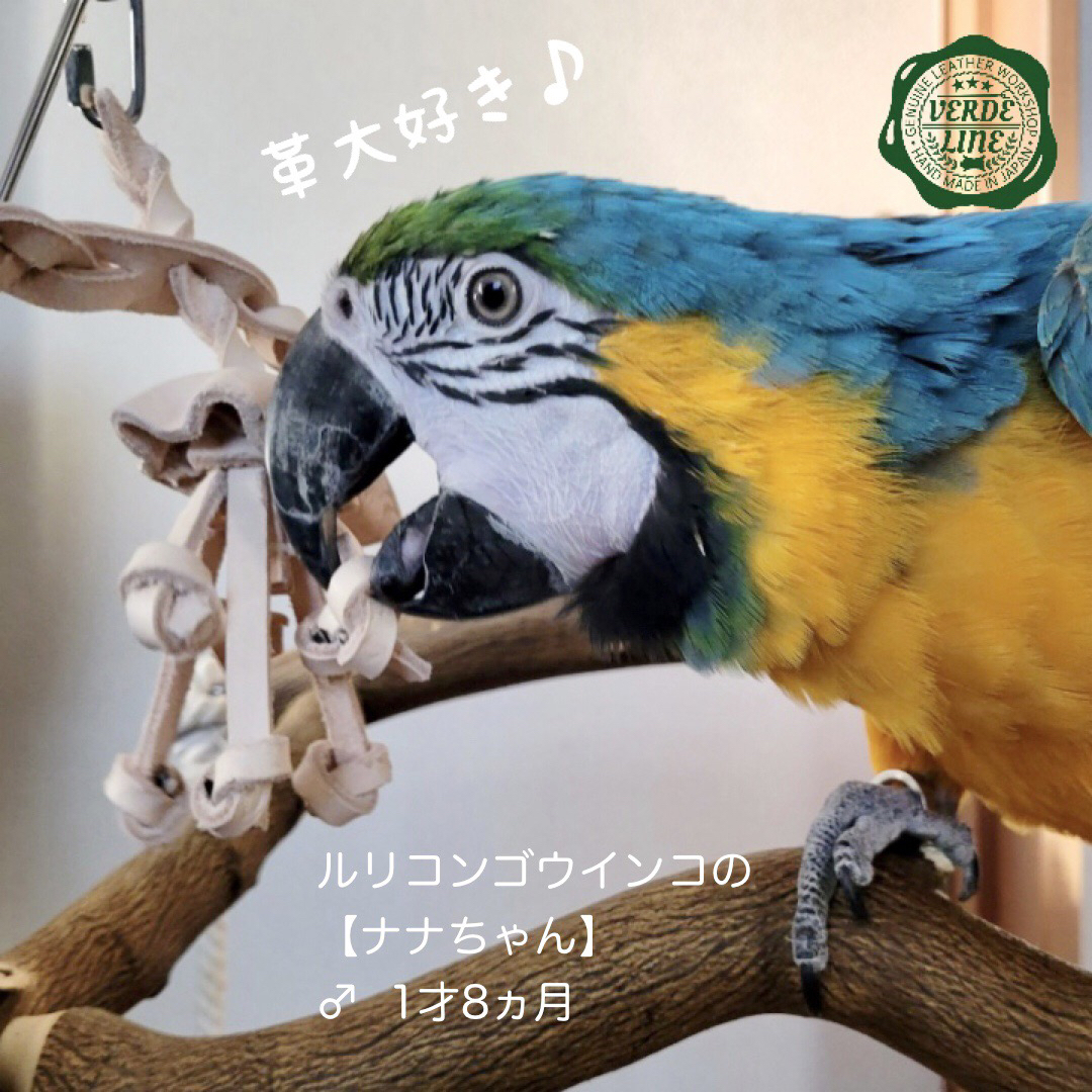 送料無料【ヨウム大型インコ向け】ハンドメイド本革インコ鳥のおもちゃ【クラゲくん】 その他のペット用品(鳥)の商品写真