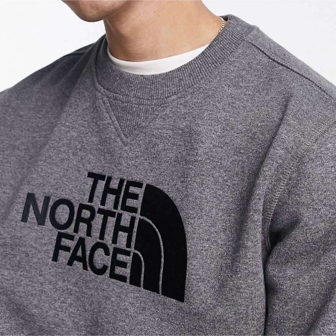 THE NORTH FACE(ザノースフェイス)のNorth face  メンズのトップス(パーカー)の商品写真
