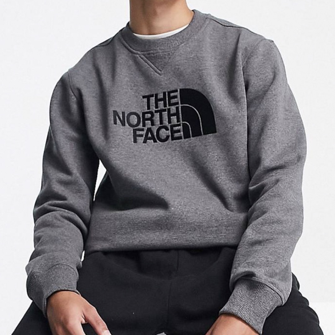 THE NORTH FACE(ザノースフェイス)のNorth face  メンズのトップス(パーカー)の商品写真