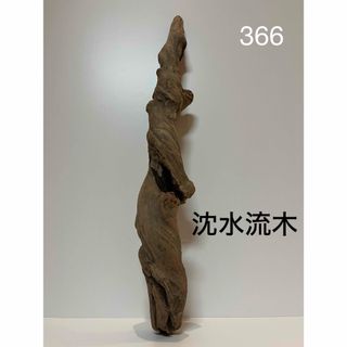 沈水　流木【366】(置物)