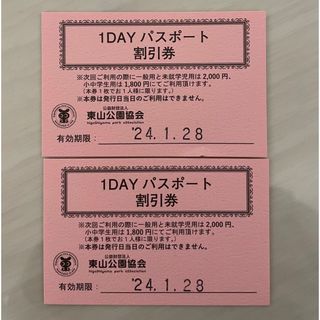 りん様専用　1DAYパスポート割引券(その他)