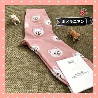 ❤可愛い❤新品 カラフル いぬ柄 ポメラニアン 単品 ソックス 靴下(ソックス)