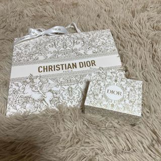 ディオール(Dior)のディオールノベルティ　小物入れショッピングバッグ(小物入れ)