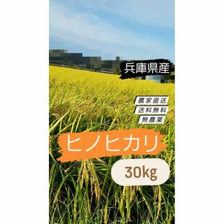 【令和5年】ひのひかり  新米 玄米 無農薬：栽培期間中不使用 30kg(米/穀物)